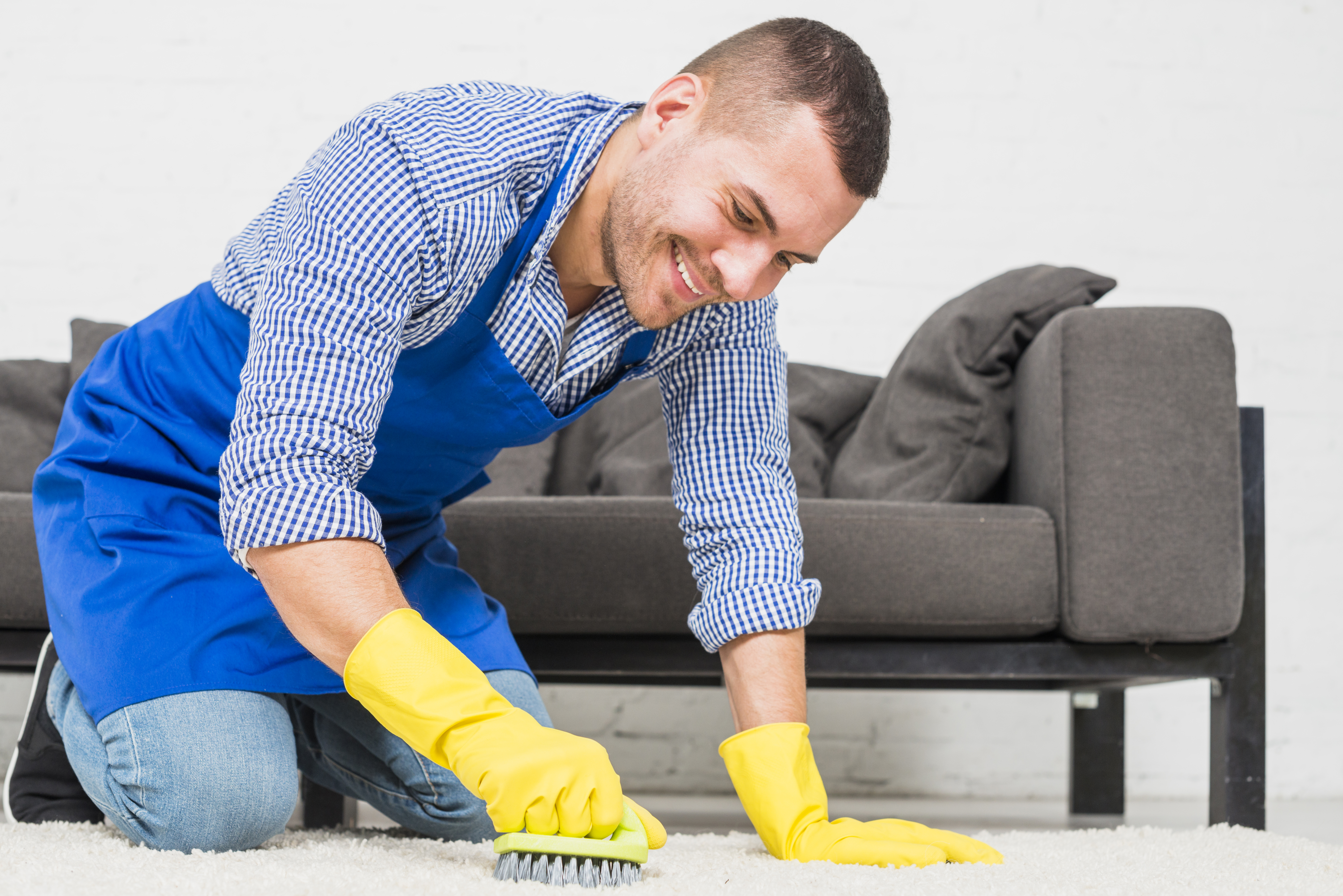 Pet Odor Treatment